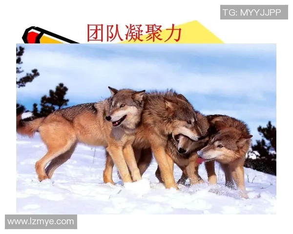 杭州乒乓球队心理素质变革引发热议助力竞技水平提升与团队凝聚力增强